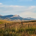 Is Kratom Legal in Montana?