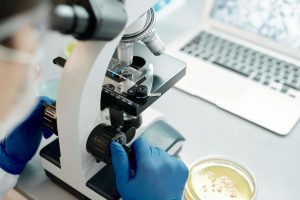 Person looking in a microscope