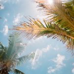 Is Kratom Legal in Florida? Let’s Talk About Kratom in Florida