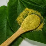 Comparing Bali vs Indo Kratom