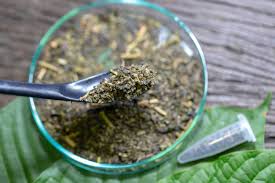 Where should one buy Kratom?