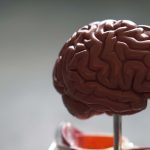 Unpacking Kratom: Insights from Andrew Huberman’s Lab Podcast
