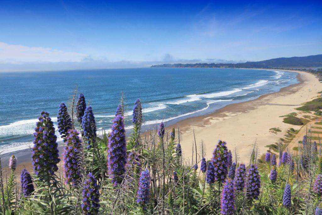 A scenic shot of a coastline